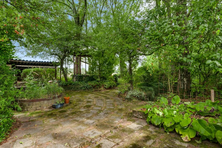 Foto 50 van Heide 40