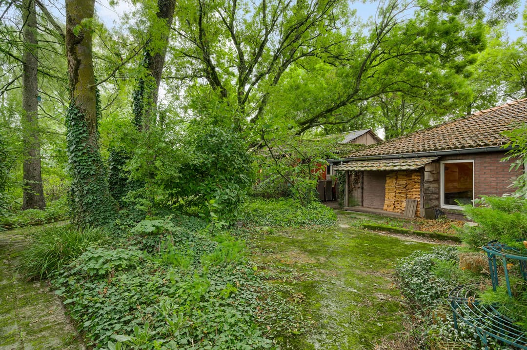 Foto 52 van Heide 40