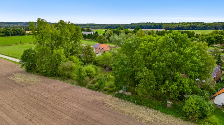 Foto 57 van Heide 40