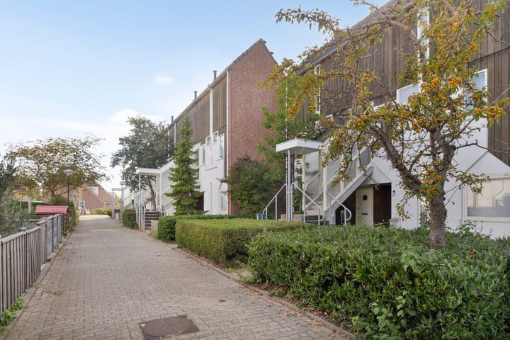 Foto 5 van Kanariesprenk 27