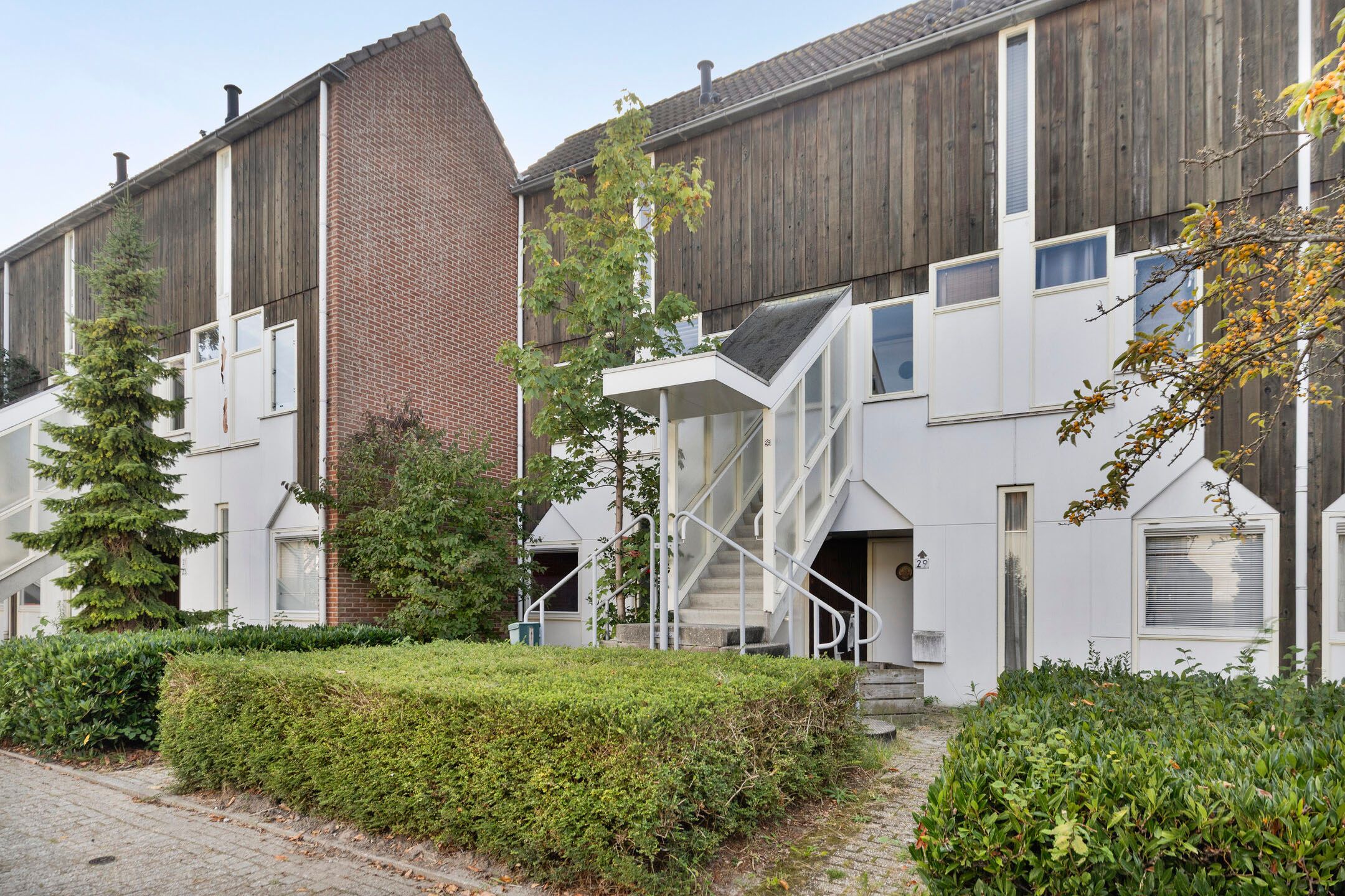 Foto 6 van Kanariesprenk 27