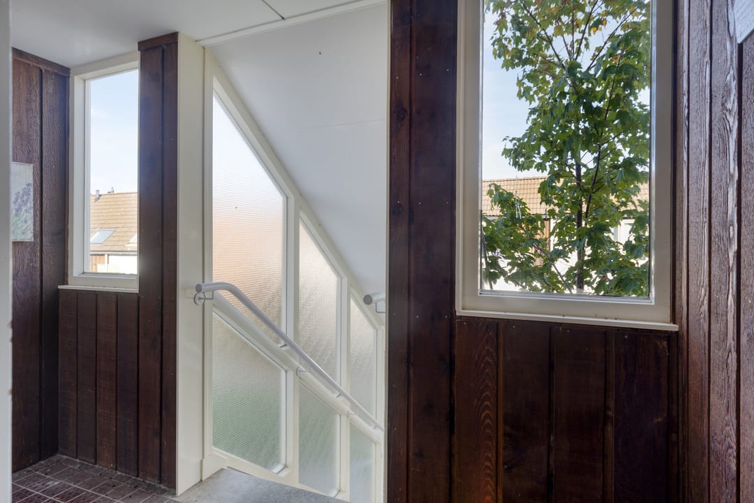 Foto 7 van Kanariesprenk 27