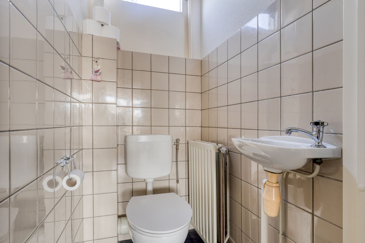 Foto 10 van Kanariesprenk 27