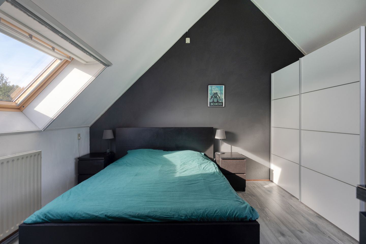 Foto 20 van Kanariesprenk 27