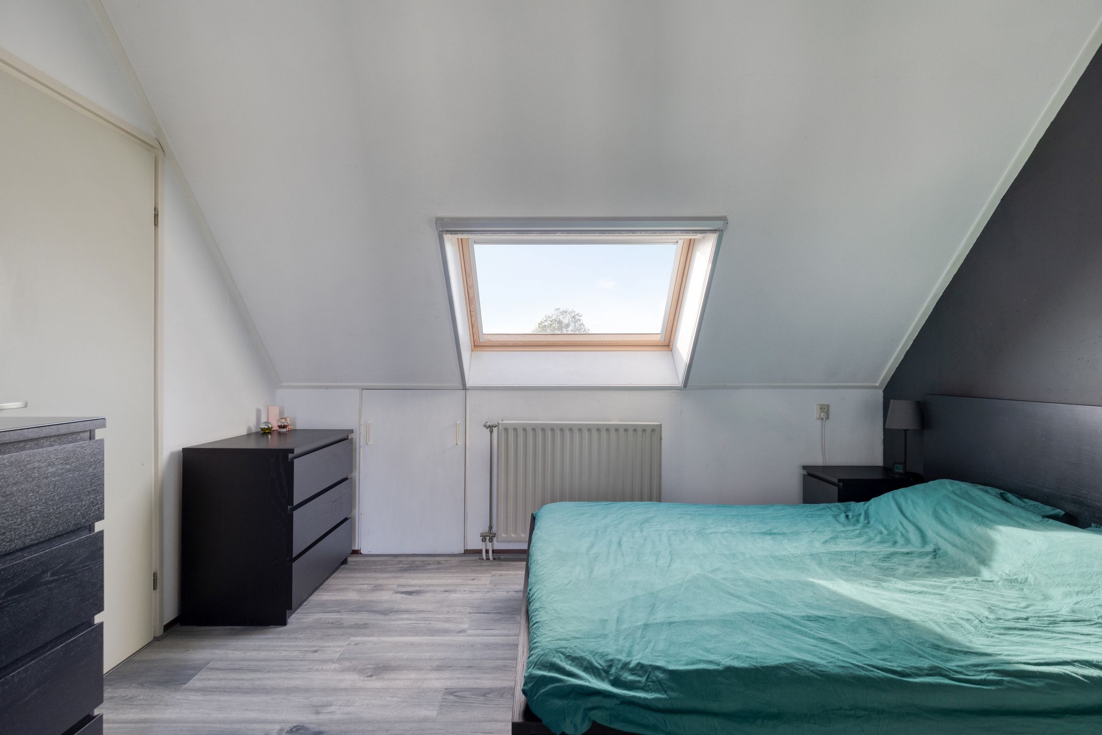 Foto 21 van Kanariesprenk 27