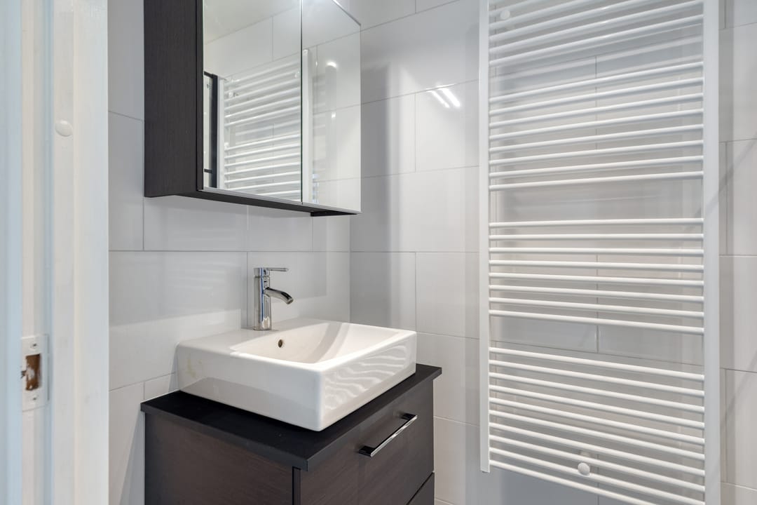 Foto 23 van Kanariesprenk 27