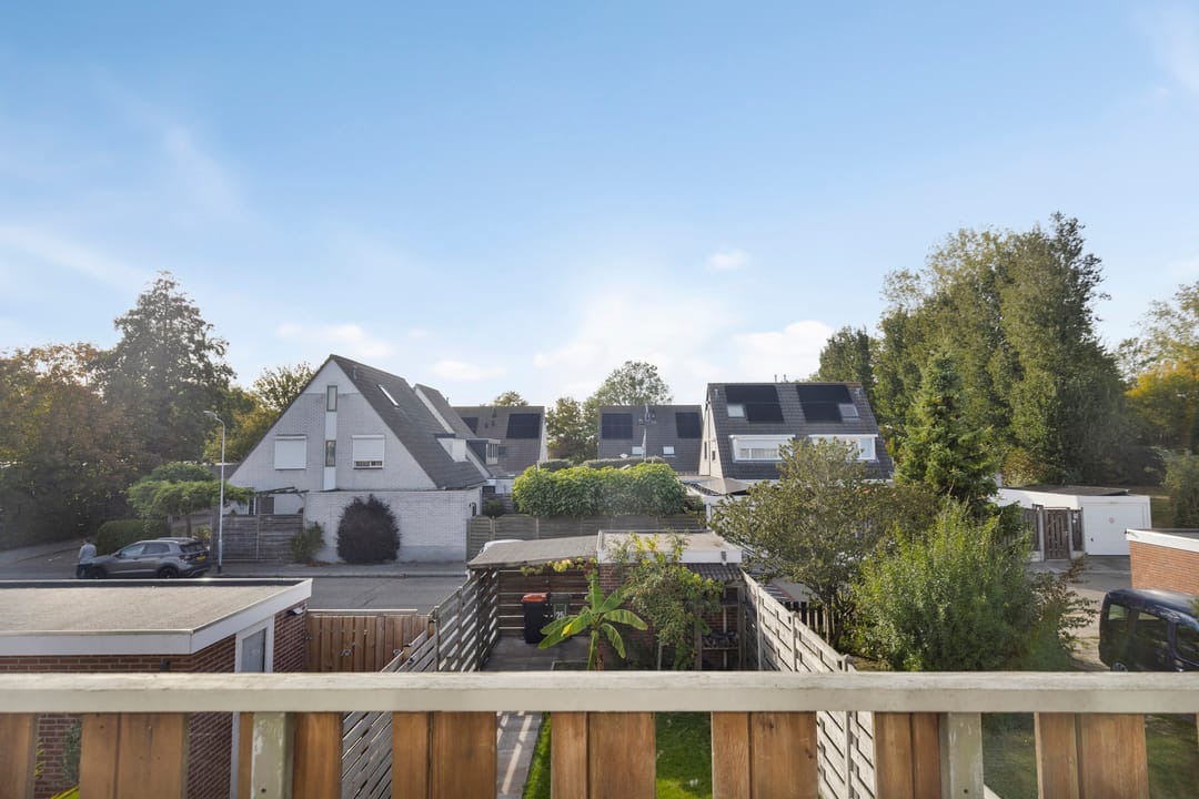 Foto 26 van Kanariesprenk 27