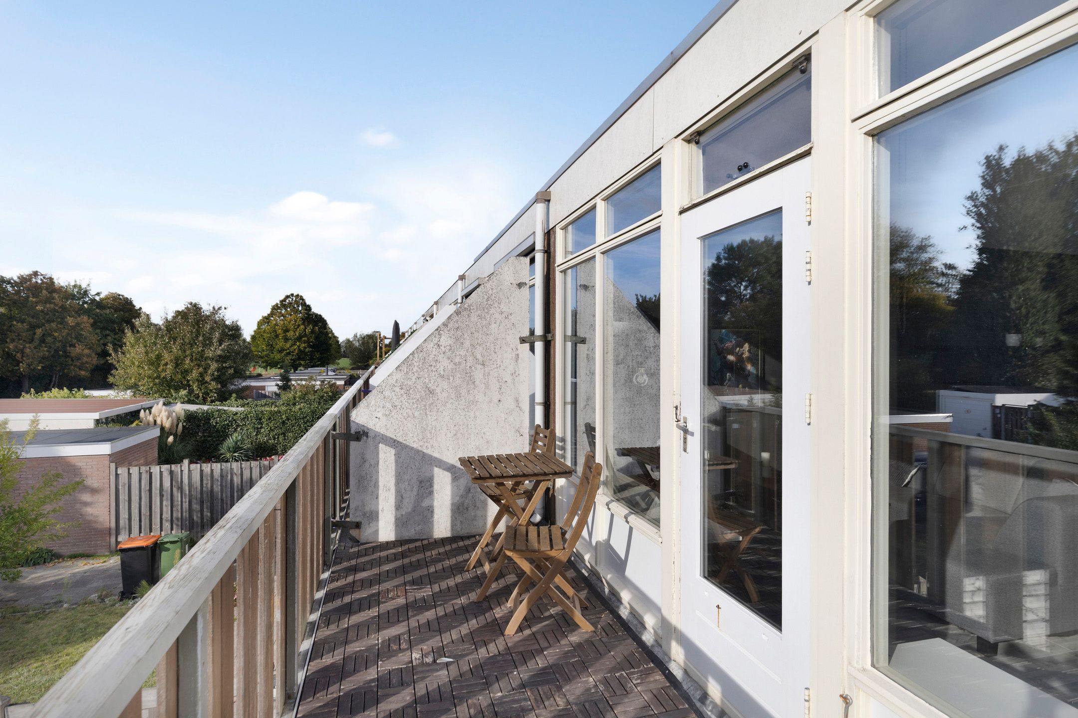 Foto 27 van Kanariesprenk 27