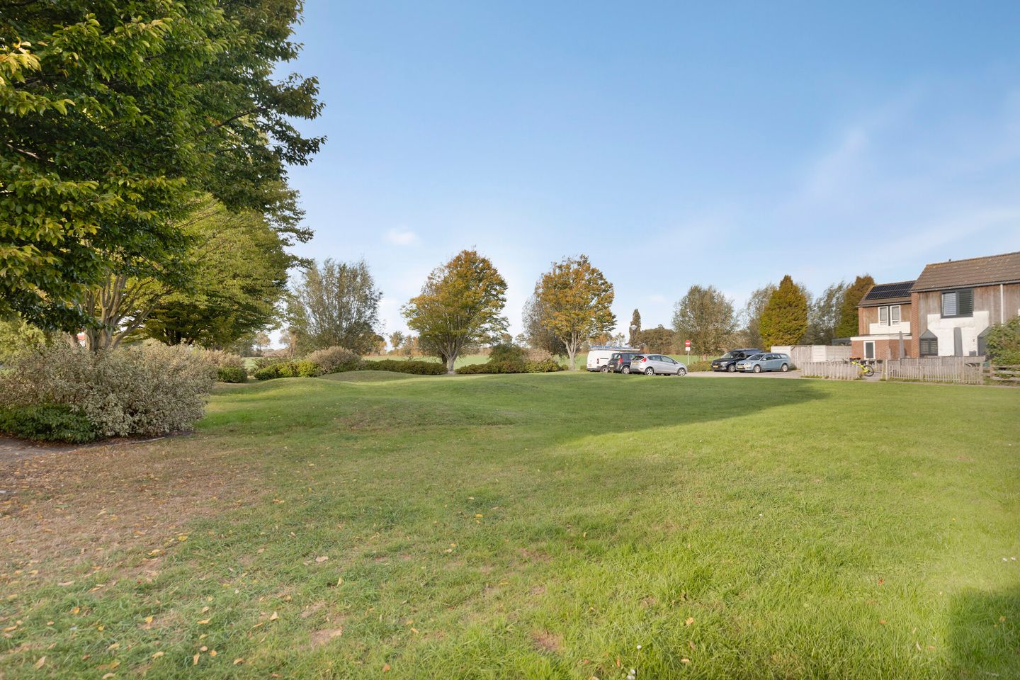 Foto 29 van Kanariesprenk 27