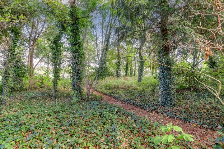 Photo 48 of Marisstraat 8