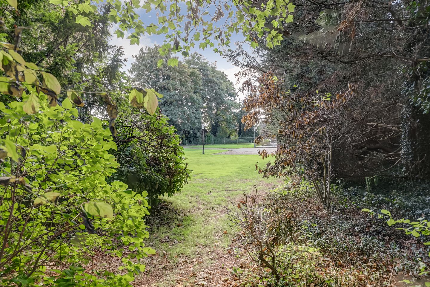 Foto 49 van Marisstraat 8