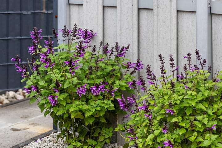 Foto 29 van Berkelsekade 38