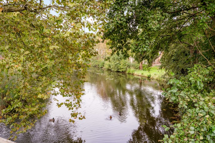 Foto 54 van Rozenwerf 176