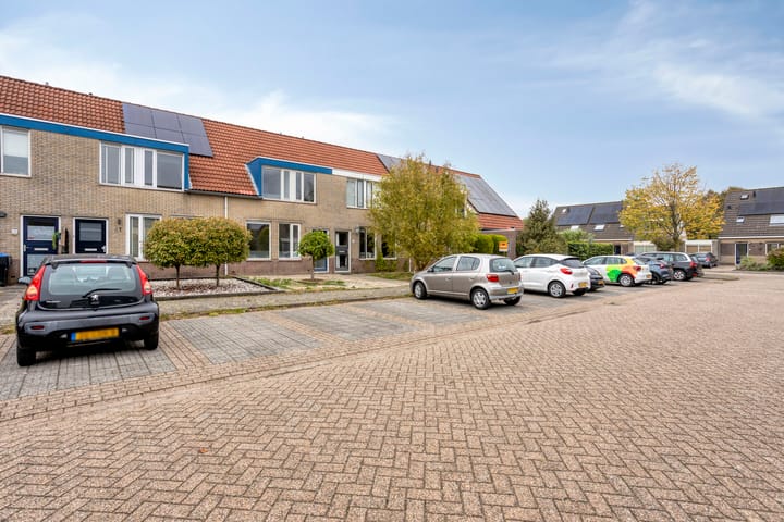 Foto 5 van Turfsteker 41