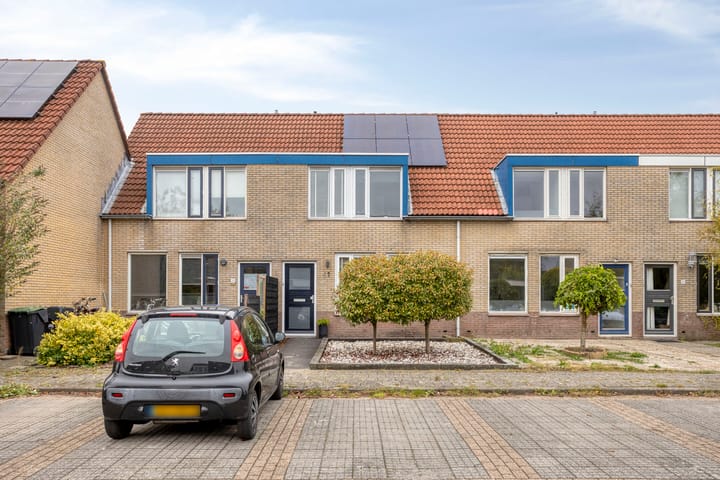 Foto 6 van Turfsteker 41