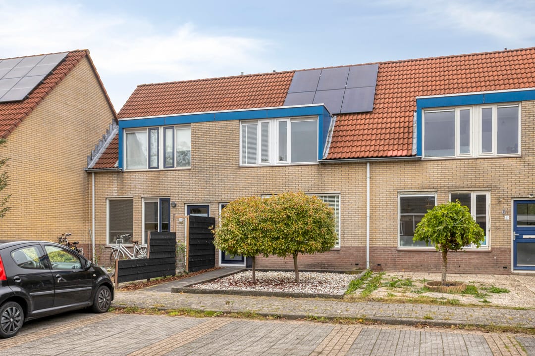 Foto 7 van Turfsteker 41