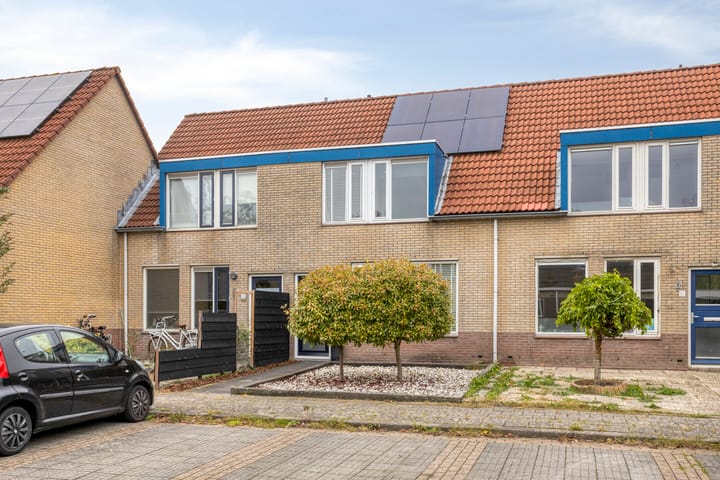 Foto 7 van Turfsteker 41