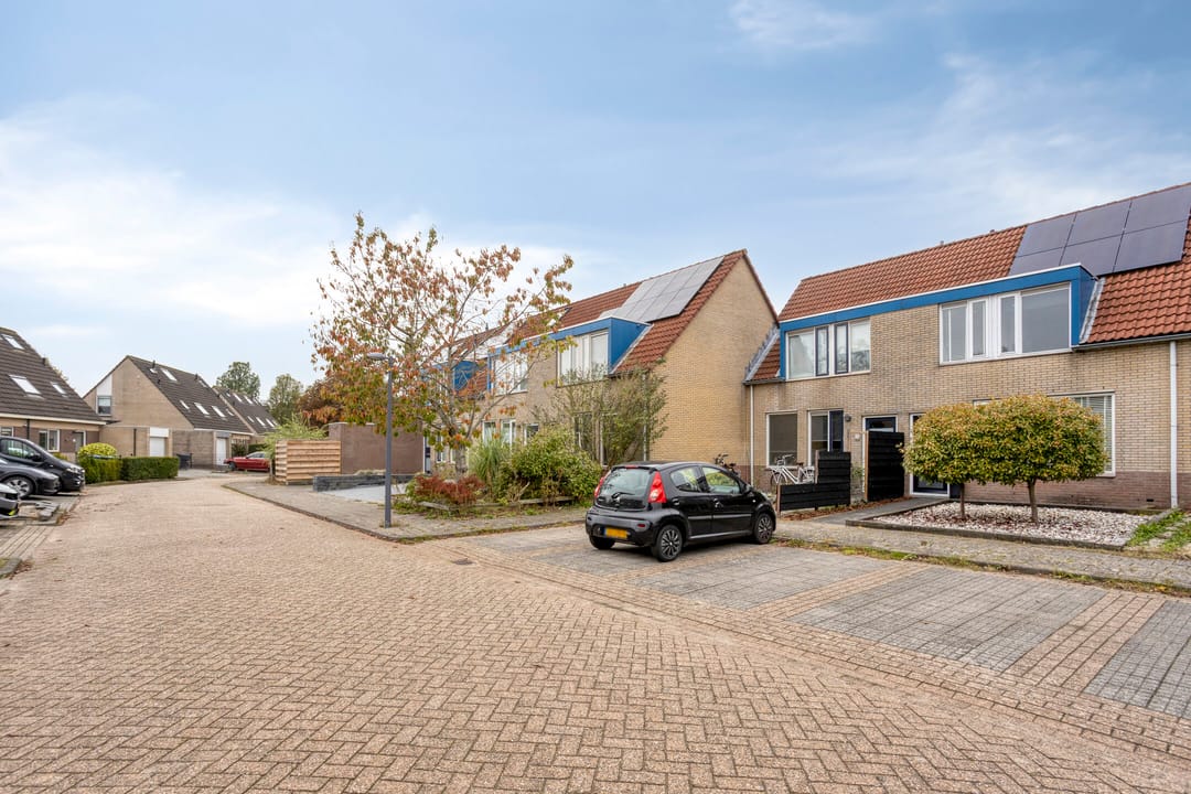 Foto 8 van Turfsteker 41