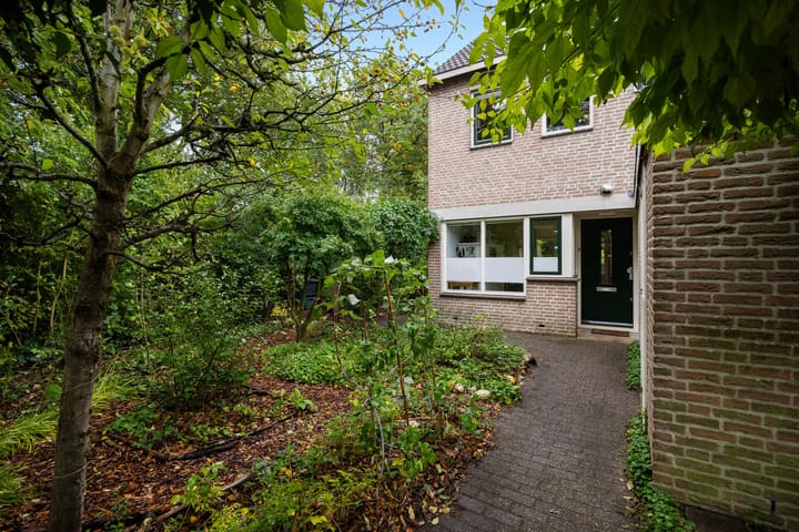 Photo 2 of Satijnvlinder 12