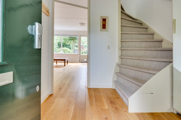 Photo 3 of Satijnvlinder 12