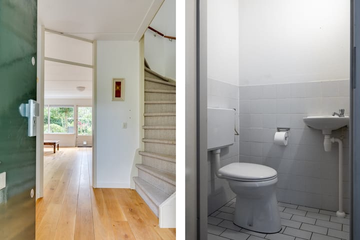 Photo 4 of Satijnvlinder 12