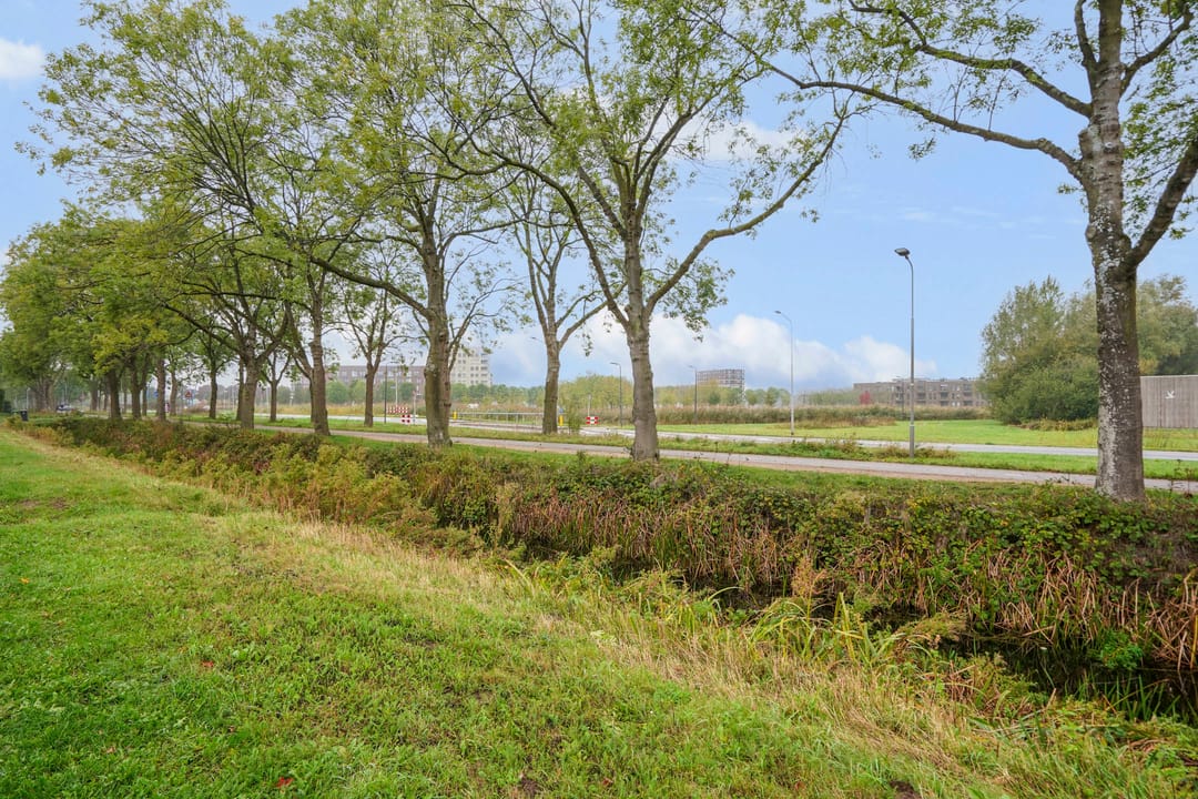 Foto 2 van Walessingel 9