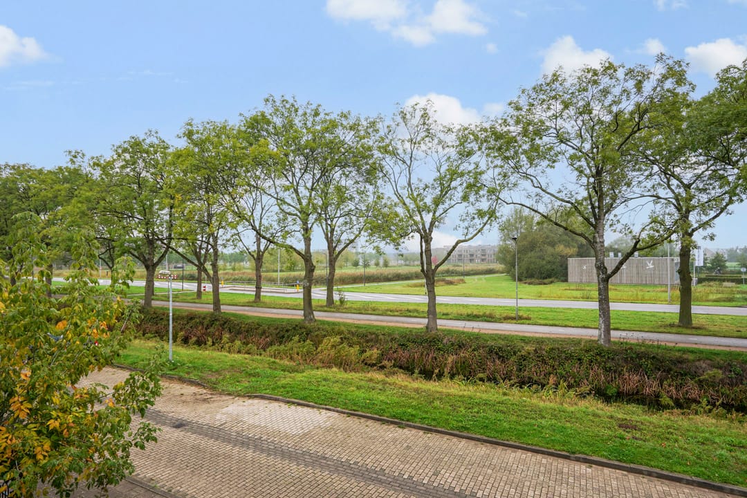 Foto 47 van Walessingel 9