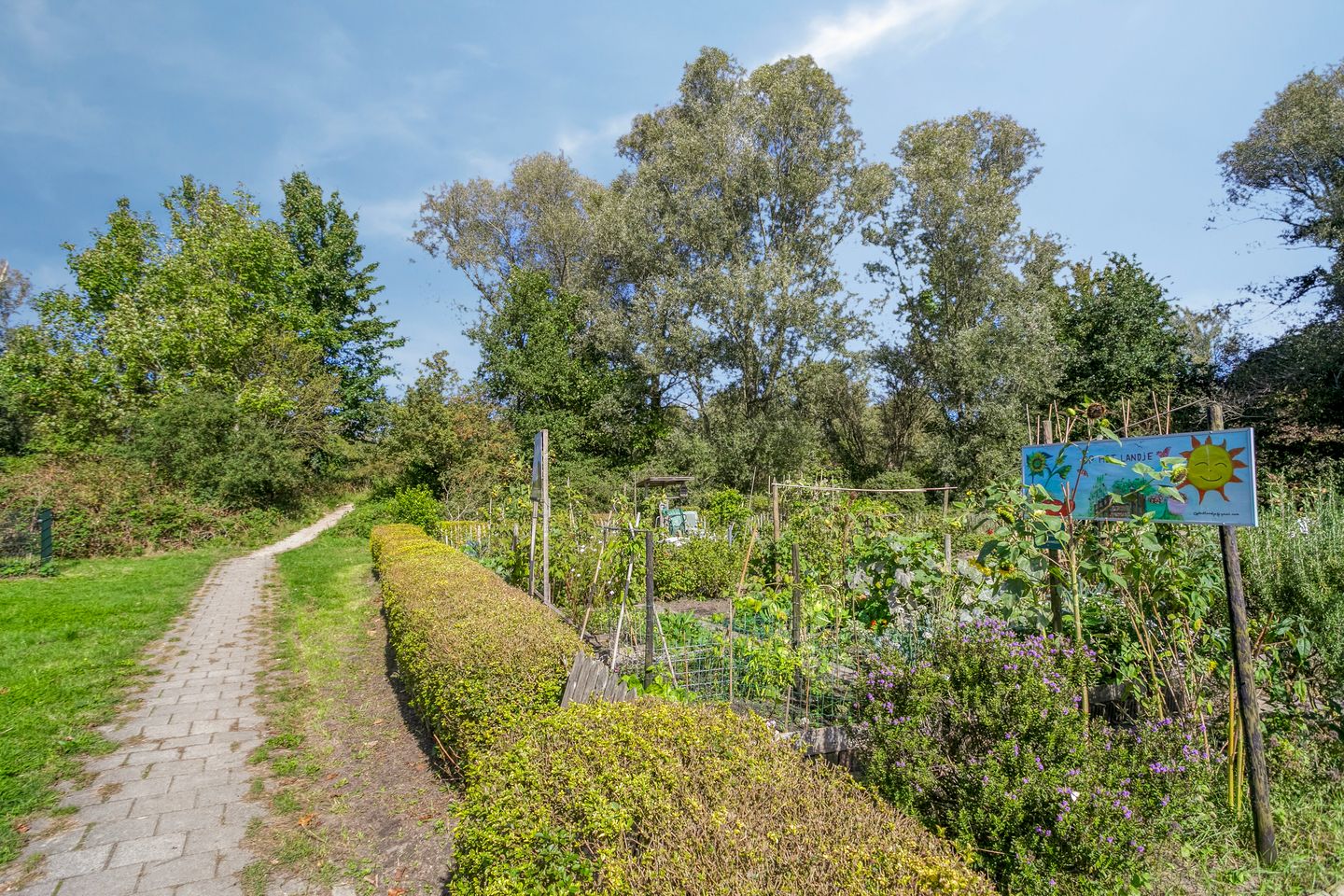 Foto 40 van Jelle Posthumapad 4