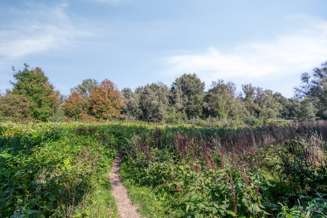 Foto 41 van Jelle Posthumapad 4