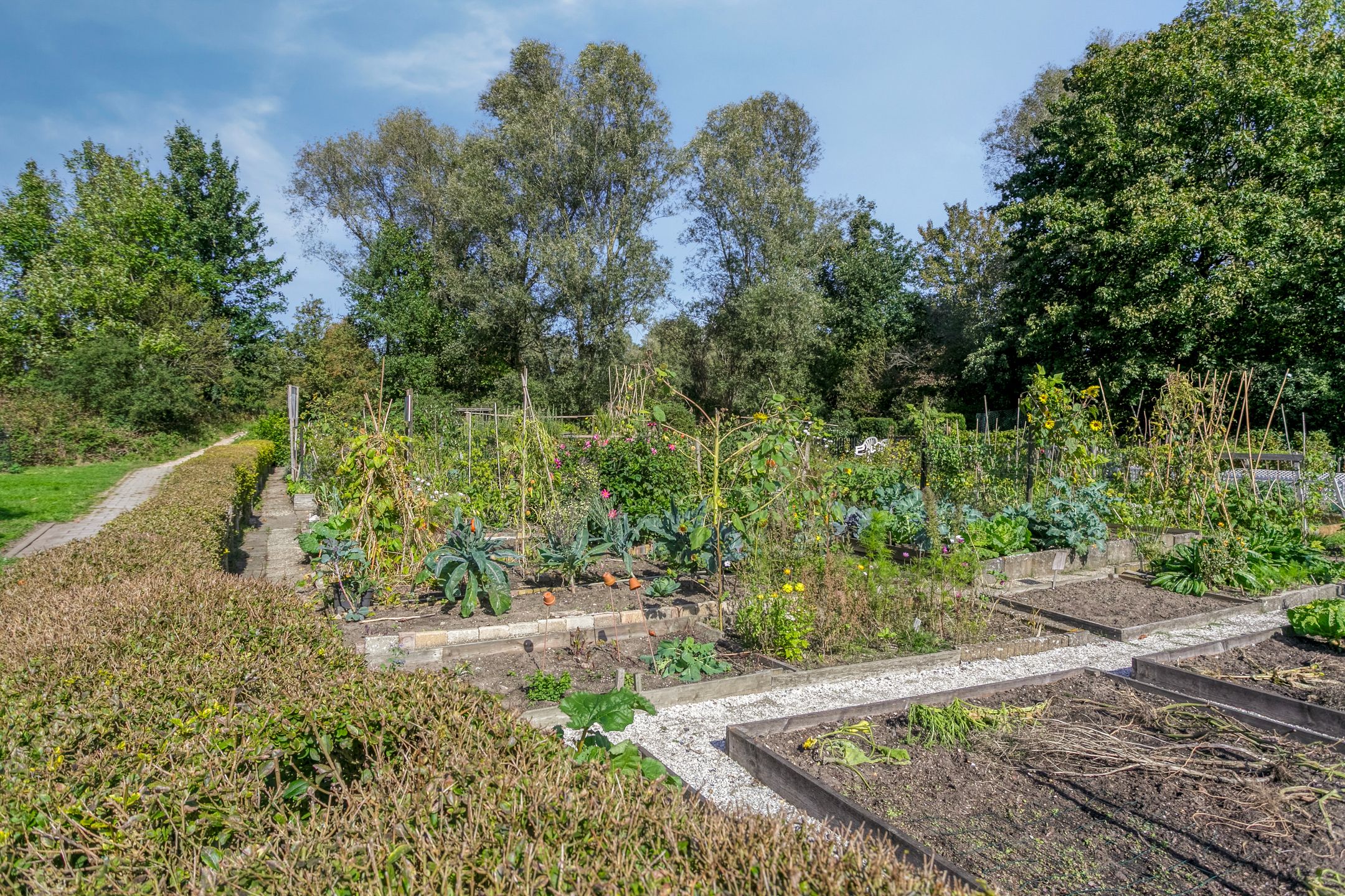 Foto 39 van Jelle Posthumapad 4