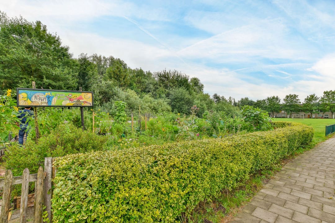 Foto 46 van Jelle Posthumapad 4