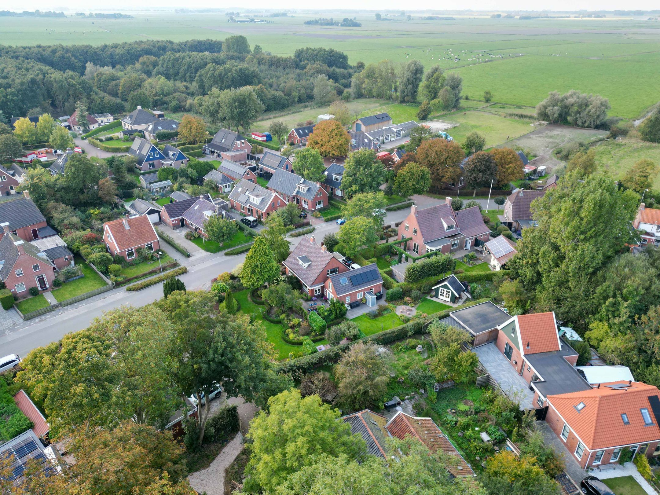 Photo 6 of Pastorieweg 10