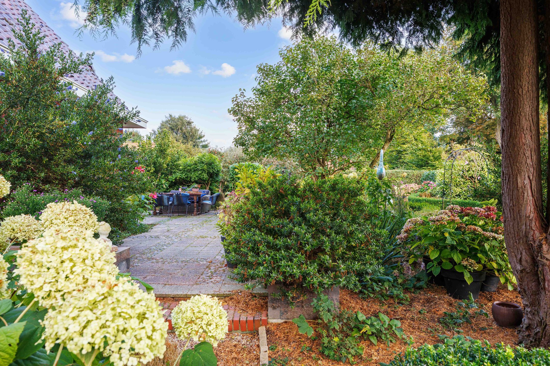 Photo 42 of Pastorieweg 10