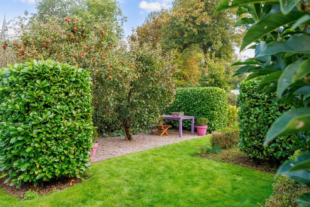 Photo 56 of Pastorieweg 10