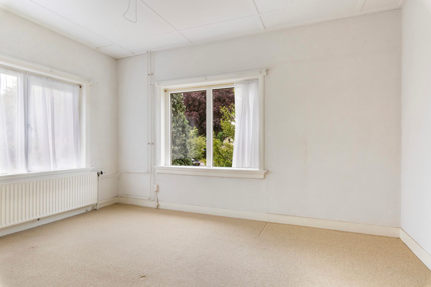 Foto 35 van Lierderstraat 9