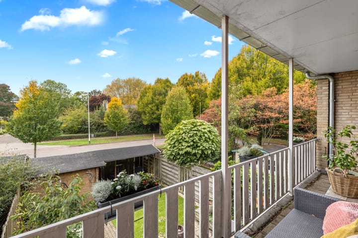 Foto 24 van Susannadonk 43