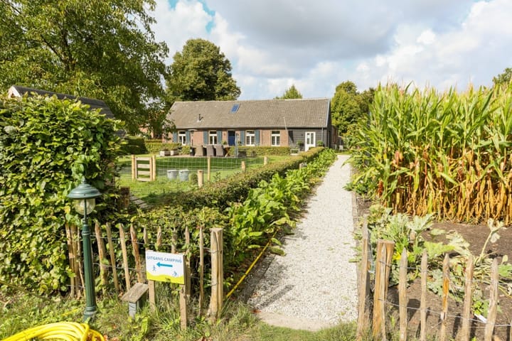 Foto 2 van Zwaanen Heike 12