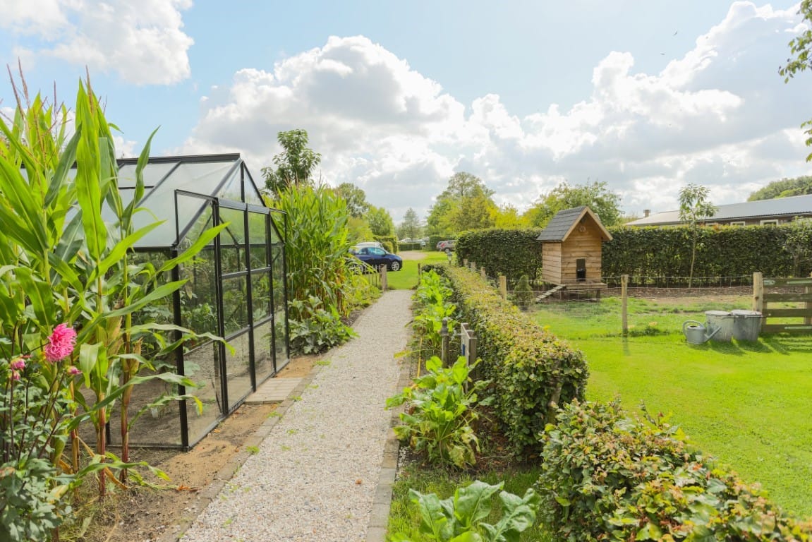 Photo 4 of Zwaanen Heike 12