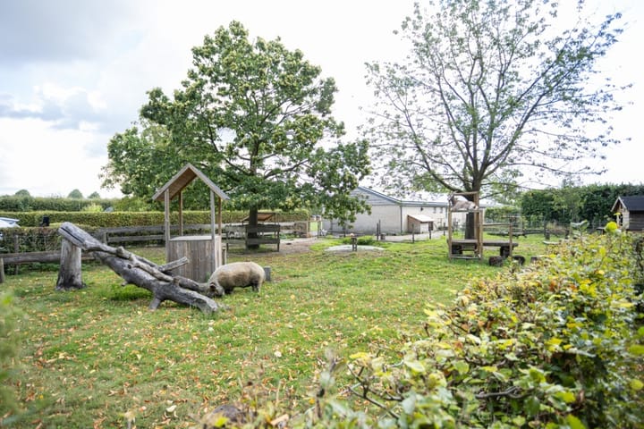 Foto 6 van Zwaanen Heike 12