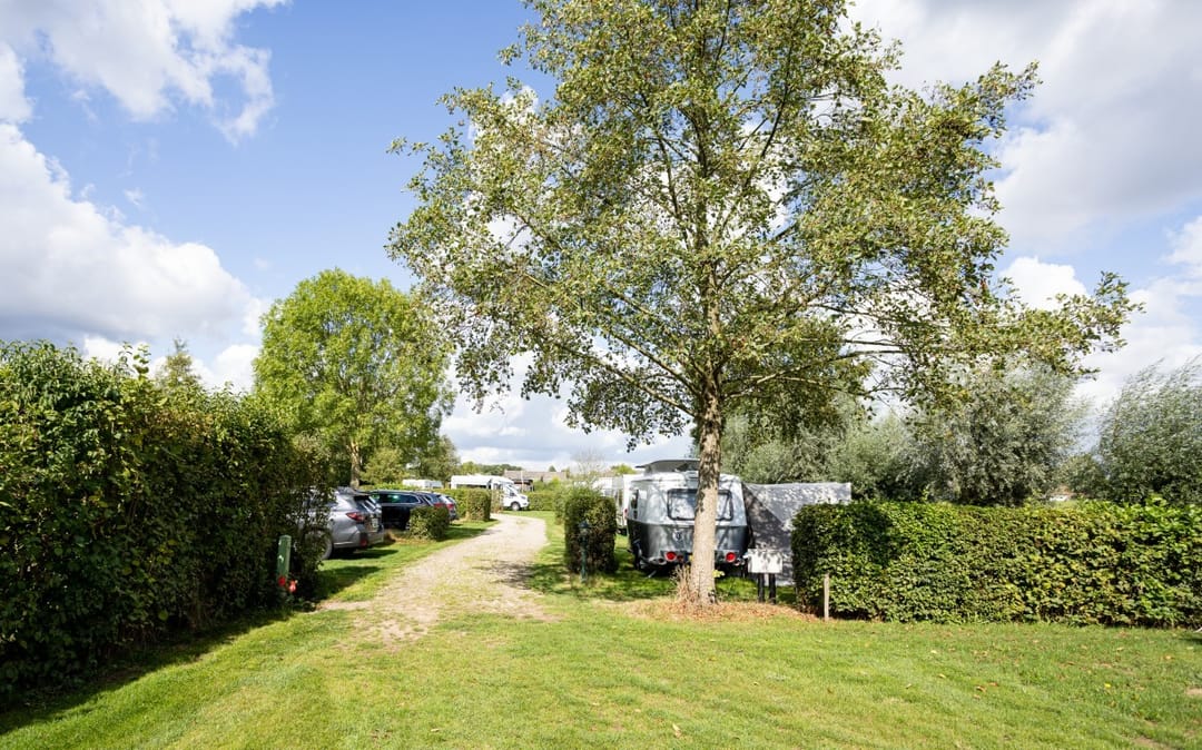 Photo 7 of Zwaanen Heike 12