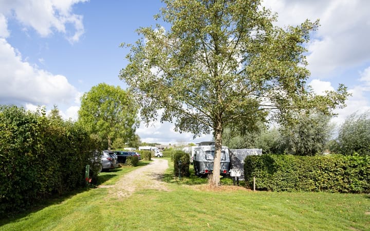 Foto 7 van Zwaanen Heike 12