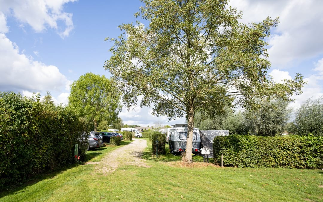 Photo 8 of Zwaanen Heike 12