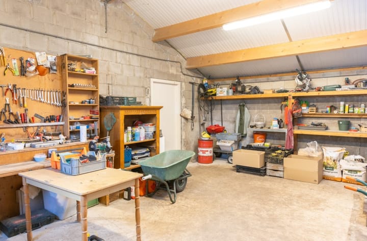 Foto 18 van Zwaanen Heike 12