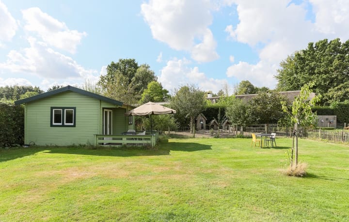 Foto 21 van Zwaanen Heike 12