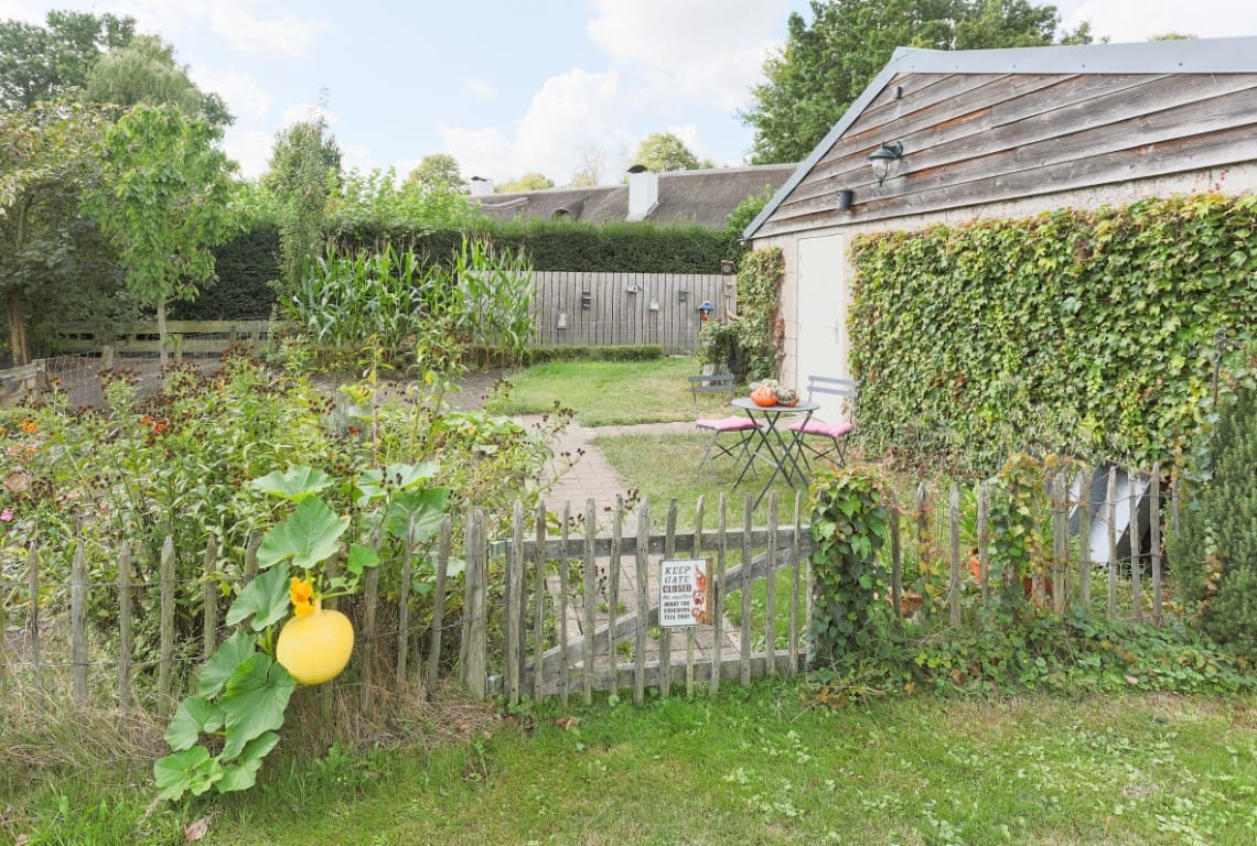 Photo 24 of Zwaanen Heike 12