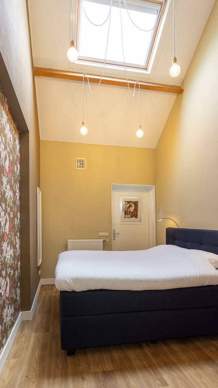 Foto 48 van Zwaanen Heike 12