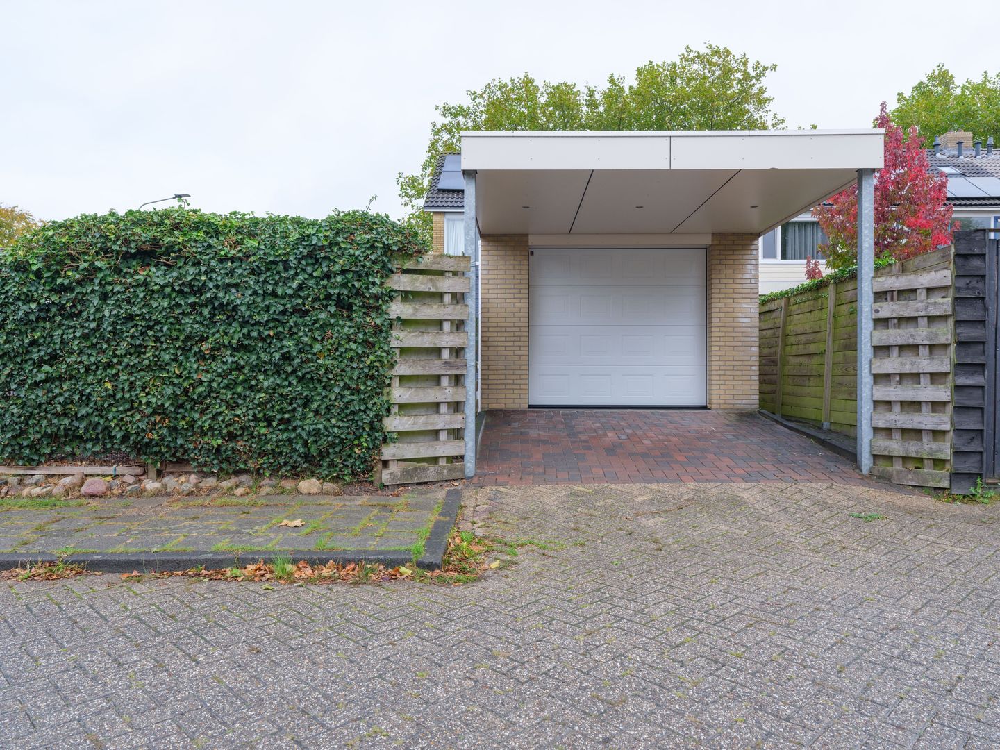 Foto 4 van Tjonger 45