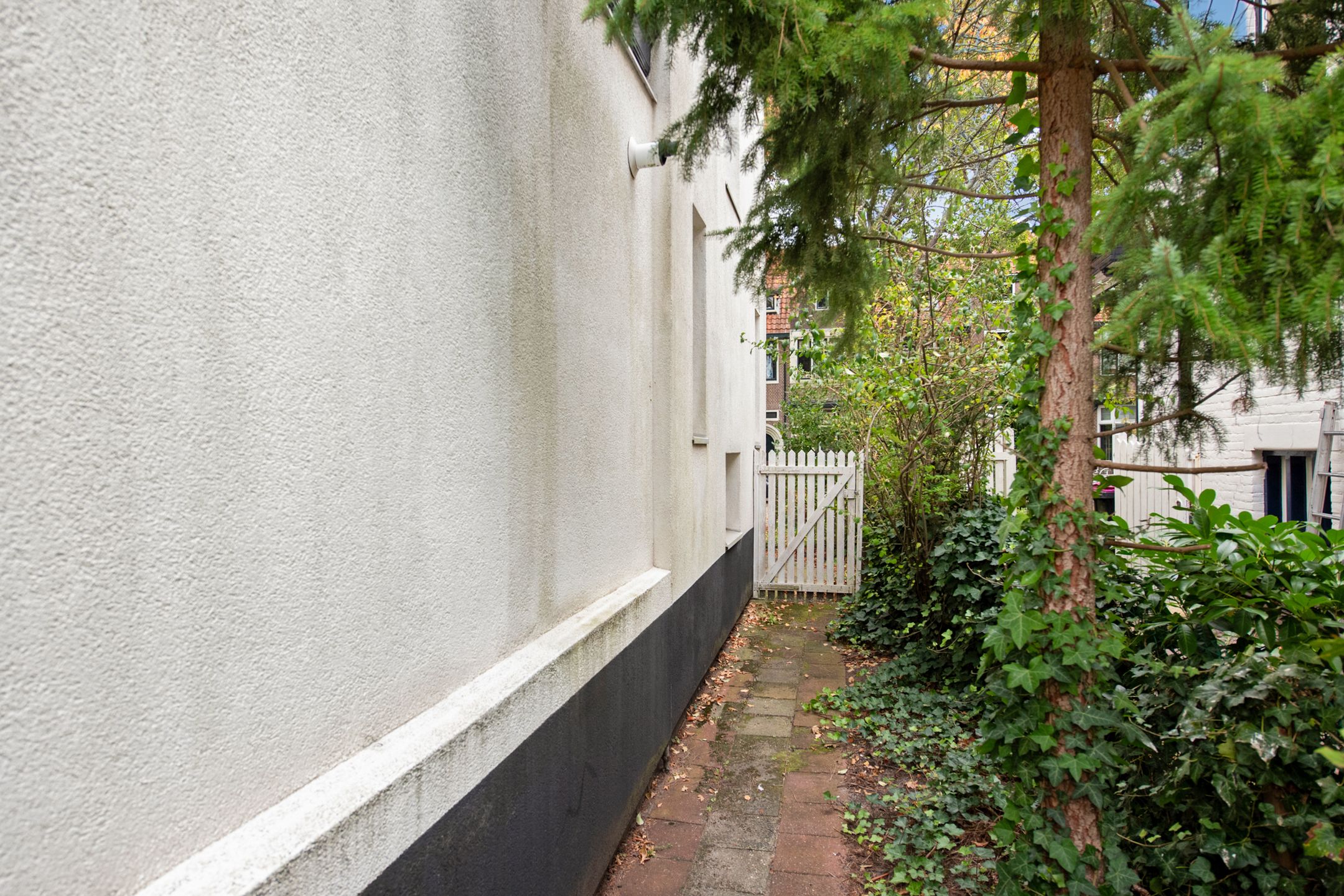 Foto 18 van Groen van Prinstererlaan 14