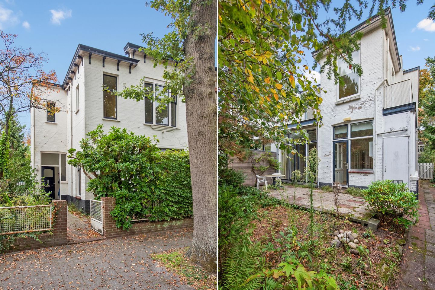 Foto 50 van Groen van Prinstererlaan 14