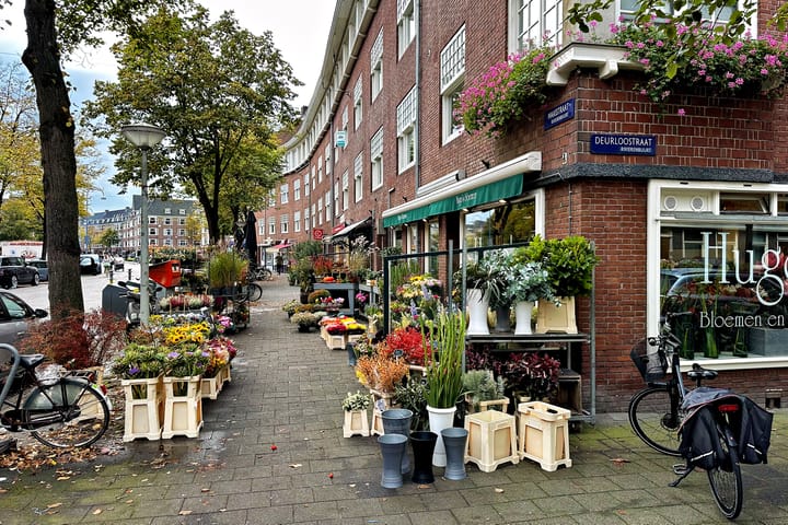 Foto 50 van Deurloostraat 32-3